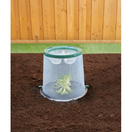 Runde Abdeckung zur Wachstumsbeschleunigung von Pflanzen